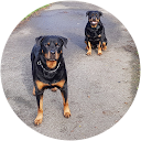 Bas Wetering van profielfoto