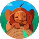 Иван Раковский profielfoto